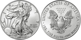 Estados Unidos. 2019. Filadelfia. 1 dólar. AG. 31,18 g. S/C.