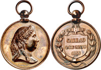 Perú. 1866. Isabel II. Guerra del Pacífico - Acción naval del Callao. Medalla de distinción. (Cano 118) (O'Connor pág. 277) (Pérez Guerra 729) (RAH. 6...