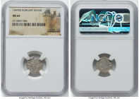 Ferdinand I 3-Piece Lot of Certified Denars NGC, 1) Denar 1547-KB - MS64, Kremnitz mint, KM-MB115 2) Denar 1549-KB - MS63, Kremnitz mint, KM-MB115 3) ...