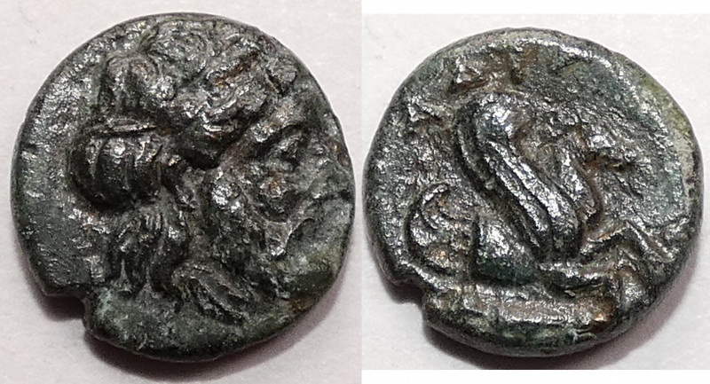 Mysia, Adramytteion
Circa 350-300 BC., Æ 10 mm, .91 g.