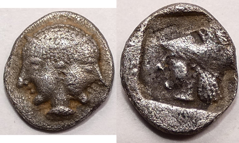 Mysia, Lampsakos
AR Diobol Circa 500-450 BC., 12 mm, 1.15 g.