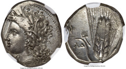 LUCANIA. Metapontum. Ca. 330-280 BC. AR stater (20mm, 7.91 gm, 11h). NGC Choice AU 4/5 - 4/5. Dori- and Da-, magistrates. Head of Demeter left, wearin...