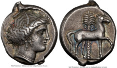 SICULO-PUNIC. Sicily. Ca. 350-315 BC. AR tetradrachm (26mm, 16.94 gm, 12h). NGC XF 5/5 - 5/5. Head of Arethusa left, wreathed with reeds, wearing simp...