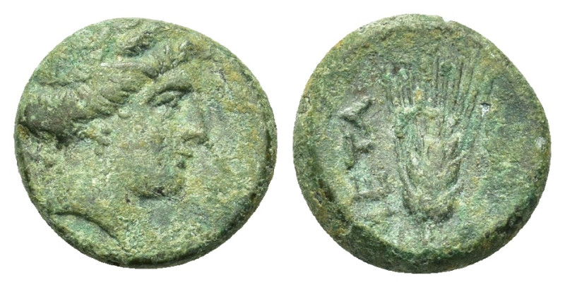 Italy, Southern Lucania, Metapontion, c. 300-250 BC. Æ (14,2mm, 2.7g). Wreathed ...