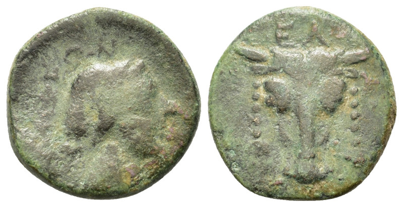 Phokis, Elateia, early 2nd century BC. Æ (17,2mm, 3,90g). Head of bull facing, f...