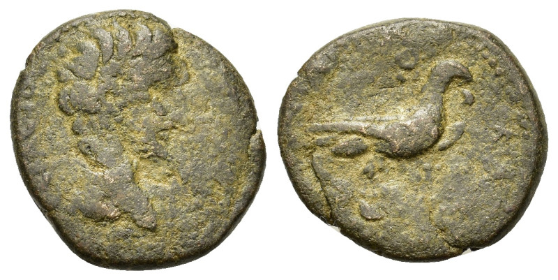 Augustus (27 BC-AD 14). Phrygia, Amorium. Æ (20,6mm, 5.6g). Bare head r. R/ Eagl...