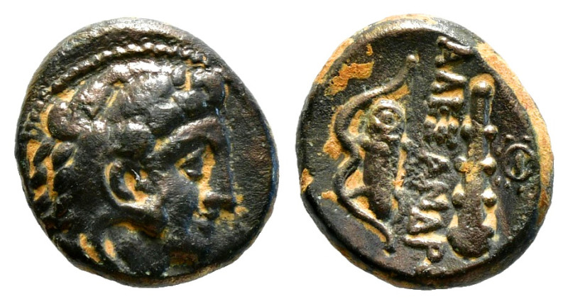 KINGS OF MACEDON. Alexander III 'the Great' (336-323 BC). Ae Unit. Uncertain min...