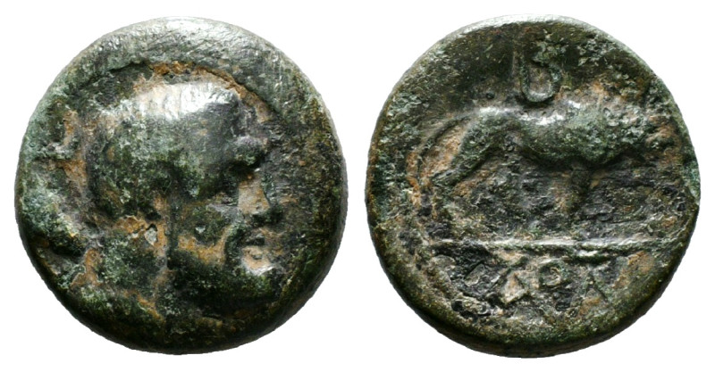 KINGS OF GALATIA. Amyntas (36-25 BC). Ae. Dated RY 5 (31/0).
Obv: Head of Herakl...