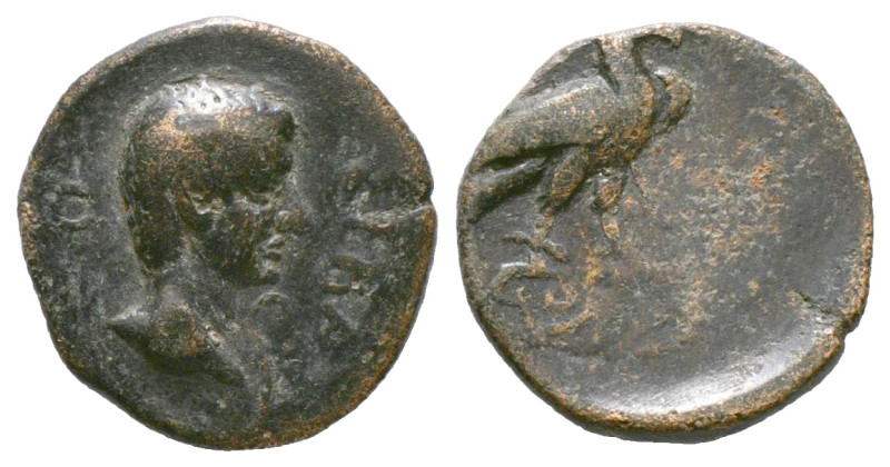 PHRYGIA. Amorium. Augustus (27 BC-AD 14). Ae.
Obv: CEBACTOC.
Bare head right.
Re...