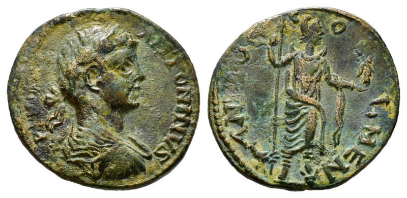 PISIDIA. Antiochia. Caracalla (198-217). Ae.
Obv: IMP CAES M AVR AN.
Laureate, d...