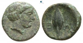 Lucania. Metapontion circa 320-300 BC. Bronze Æ