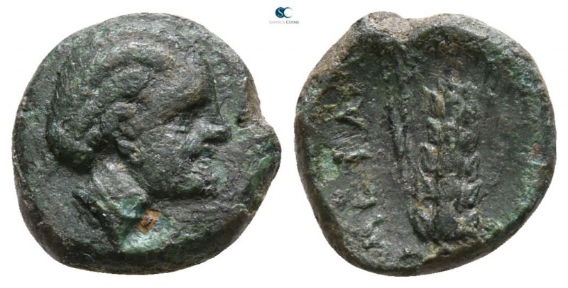 Lucania. Metapontion 300-250 BC. 
Bronze Æ

9mm., 1,60g.



nearly very f...