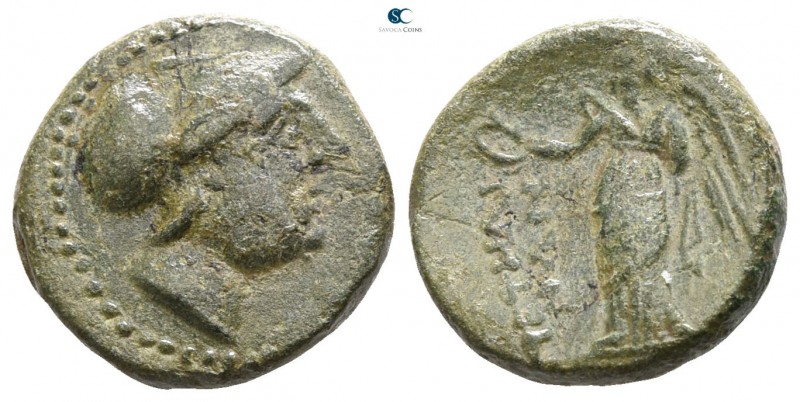 Bruttium. Petelia circa 216-204 BC. 
Bronze Æ

13mm., 3,99g.



very fine...