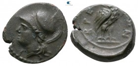 Bruttium. The Brettii 214-211 BC. Bronze Æ