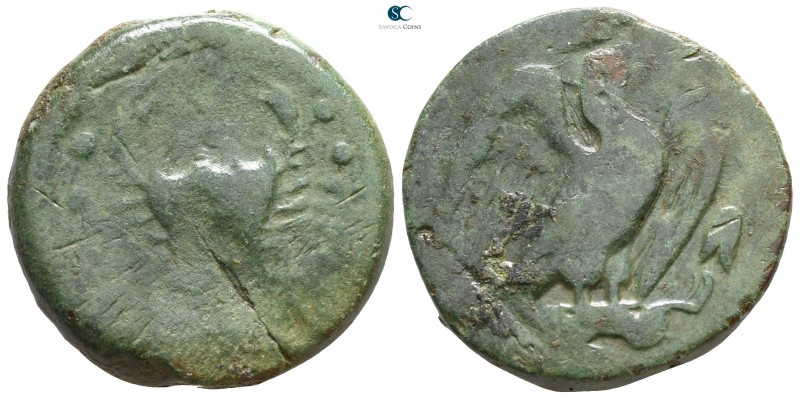 Sicily. Akragas circa 420-406 BC. 
Bronze Æ

24mm., 15,75g.



nearly ver...