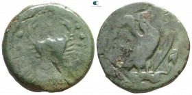 Sicily. Akragas circa 420-406 BC. Bronze Æ