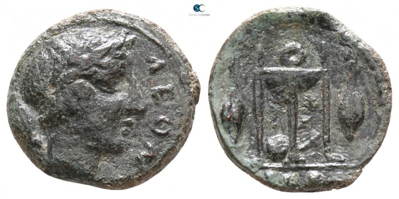 Sicily. Leontinoi circa 405-402 BC. 
Tetras Æ

12mm., 2,02g.



nearly ve...