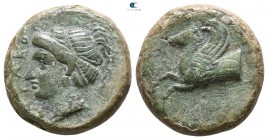 Sicily. Syracuse 344-334 BC. Hemilitron Æ
