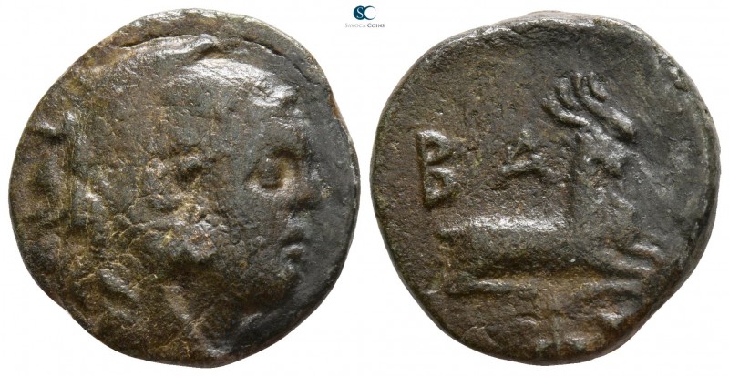 Kings of Macedon. Pella or Amphipolis. Philip V. 221-179 BC. 
Bronze Æ

18mm....