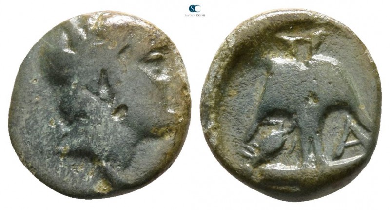 Thrace. Apollonia Pontica 400-300 BC. 
Bronze Æ

8mm., 0,70g.



fine