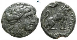 The Thracian Chersonese. Lysimacheia circa 300-250 BC. Bronze Æ