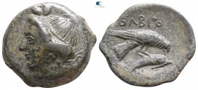 Scythia. Olbia 380-360 BC. Bronze Æ