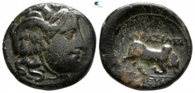 Seleukid Kingdom. Seleukos I Nikator 312-281 BC. Bronze Æ