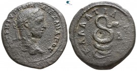 Moesia Inferior. Callatis. Severus Alexander AD 222-235. Tetrassarion AE