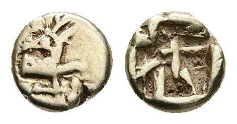 Ionia, Ephesos. Phanes, EL 1/24 Stater, 0.56 g 6.67 mm. Circa 625-600 BC. 
Obv: ...