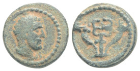 Judaea, Askalon(?) Æ. Pseudo-autonomous issue. Temp. Augustus, 27 BCE - 14 CE. 1 g. 11,7 mm.
