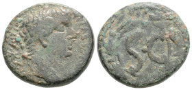 Roman Provincial, Seleucis and Pieria. Antioch. Augustus 27 BC-AD 14. Bronze Æ, 22,7 mm., 8,4 g.