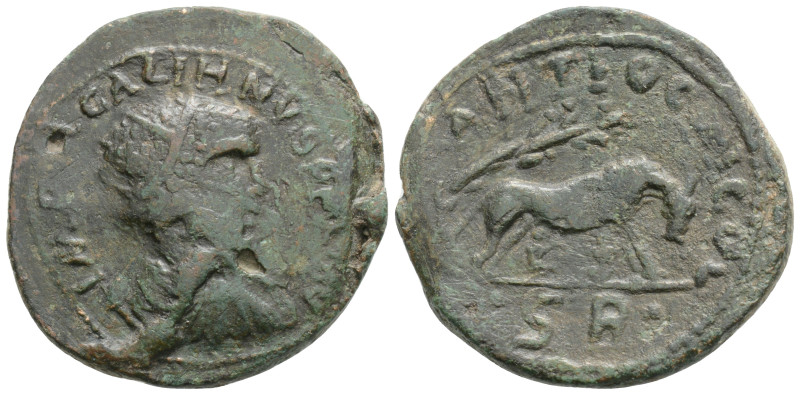 Roman Provincial Coins
PISIDIA. Antiochia. Gallienus (253-268). Ae. 13,8 g. 30,3...