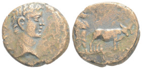 Roman Provincial Coins, AE,3,7 g.17,9 mm.