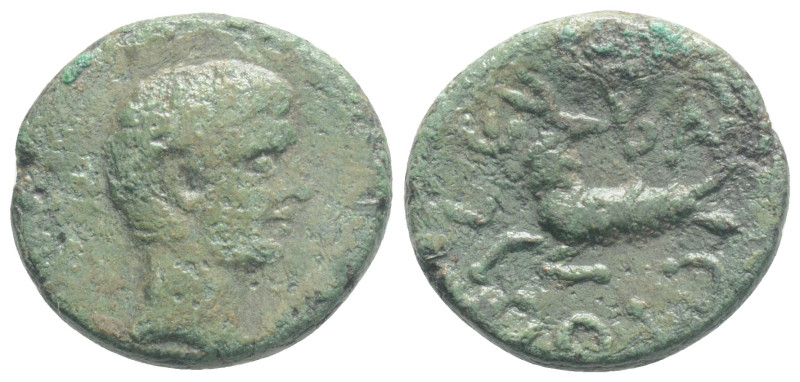 Roman Provincial
MYSIA, Kyzikos, Augustus (27 BC-14 AD) AE Bronze (17,2 mm, 3.7 ...