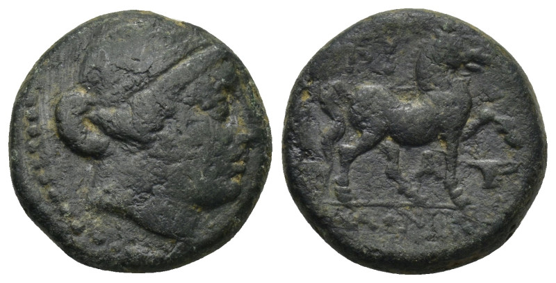 Aeolis, Kyme. Ae, (19mm, 8.97 g) Circa 250-190 BC. Obv.: Head of Amazon Kyme rig...