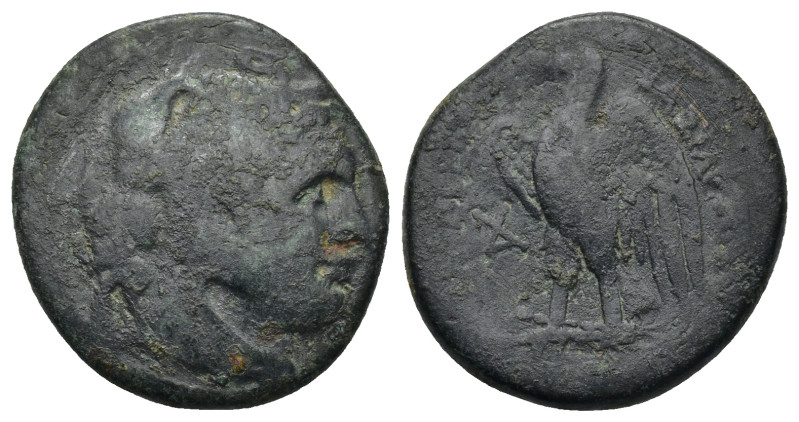 Ptolemaic Kingdom. Ptolemy I Soter. As King, 305-282 B.C. AE obol (20mm, 7.3 g)....