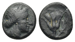 Rhodos, Rhodes Circa 350-300 BC. AE (1.3 Gr. 11mm.) Head of Rhodos to right, wearing stephane Rev. Rose with bud to right; P-O flanking stem.