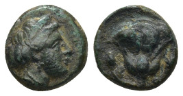 Rhodos, Rhodes Circa 350-300 BC. AE (1.8 Gr. 11mm.) Head of Rhodos to right, wearing stephane Rev. Rose with bud to right; P-O flanking stem.
