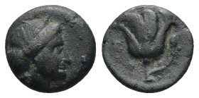 Rhodos, Rhodes Circa 350-300 BC. AE (1.4 Gr. 11mm.) Head of Rhodos to right, wearing stephane Rev. Rose with bud to right; P-O flanking stem.