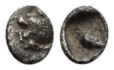 CARIA. Mylasa. (Circa 420-390 BC). AR Tetartemorion. (6mm, 0.27 g) Obv: Head of roaring lion left. Rev: Bird standing left; pellet to upper right and ...
