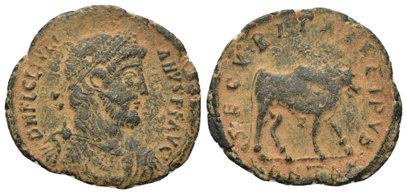 Julian II, "the Apostate," 360-363 AD. AE Antioch. (4.92 Gr. 25mm.)
Togate beard...