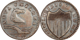 1786 New Jersey Copper. Maris 21-N, W-4910. Rarity-3. Mane Punch Before Ears. VF-35 (PCGS).
146.4 grains. Warm and glossy golden brown with some attr...