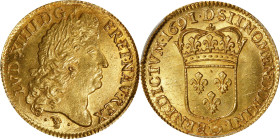 FRANCE. Louis d'Or, 1691-D. Lyon Mint. Louis XIV. PCGS MS-63.
Fr-429; KM-278.3; Gad-250. "Flan réformé" type. Surpassed in the PCGS census by just tw...