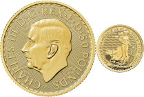 2023 Royal Succession Gold 1/2 Ounce Britannia, #7 Coin Struck Under King Charles III. Assay Master Signature Label. MS-70 (NGC).
#7 Gold 1/2 Ounce B...