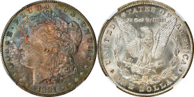 1881-CC Morgan Silver Dollar. MS-66+ (NGC).
PCGS# 7126. NGC ID: 2547.

Estimate: $1350