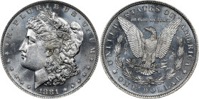 1881-O Morgan Silver Dollar. MS-64 DPL (NGC).
PCGS# 97129. NGC ID: 3S9X.
From the R.E. Jackson NGC Registry Set of Morgan Dollars.

Estimate: $900