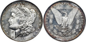 1881-S Morgan Silver Dollar. MS-65 DPL (NGC).
PCGS# 97131. NGC ID: 2549.

Estimate: $600