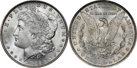 1882 Morgan Silver Dollar. MS-66 (NGC).
PCGS# 7132. NGC ID: 254A.
From the R.E. Jackson NGC Registry Set of Morgan Dollars.

Estimate: $1000