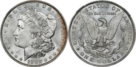 1882-CC Morgan Silver Dollar. MS-63 (NGC).
PCGS# 7134. NGC ID: 254B.

Estimate: $275