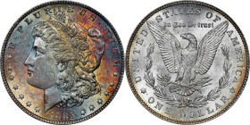 1885 Morgan Silver Dollar. MS-62 (PCGS). CAC.
PCGS# 7158. NGC ID: 254R.

Estimate: $300